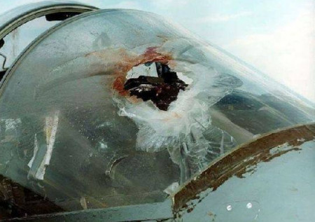 鸟撞飞机的后果飞行员脸碎了